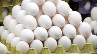 نرخ هر کیلو تخم مرغ چند؟