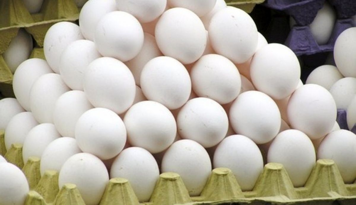 نرخ هر کیلو تخم مرغ چند؟