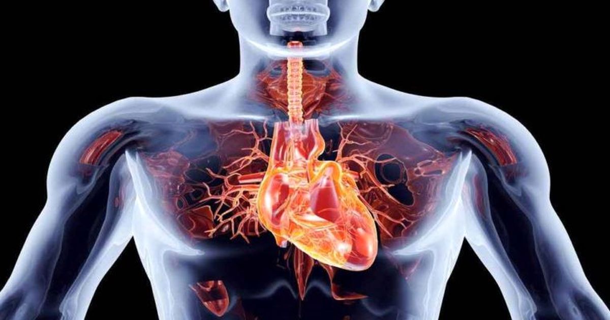پاکسازی معده با این گیاه معجزه آسا