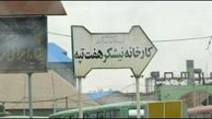 پنج تا زن بودیم جاده را بستیم و چنین انقلابی ایجاد کردیم