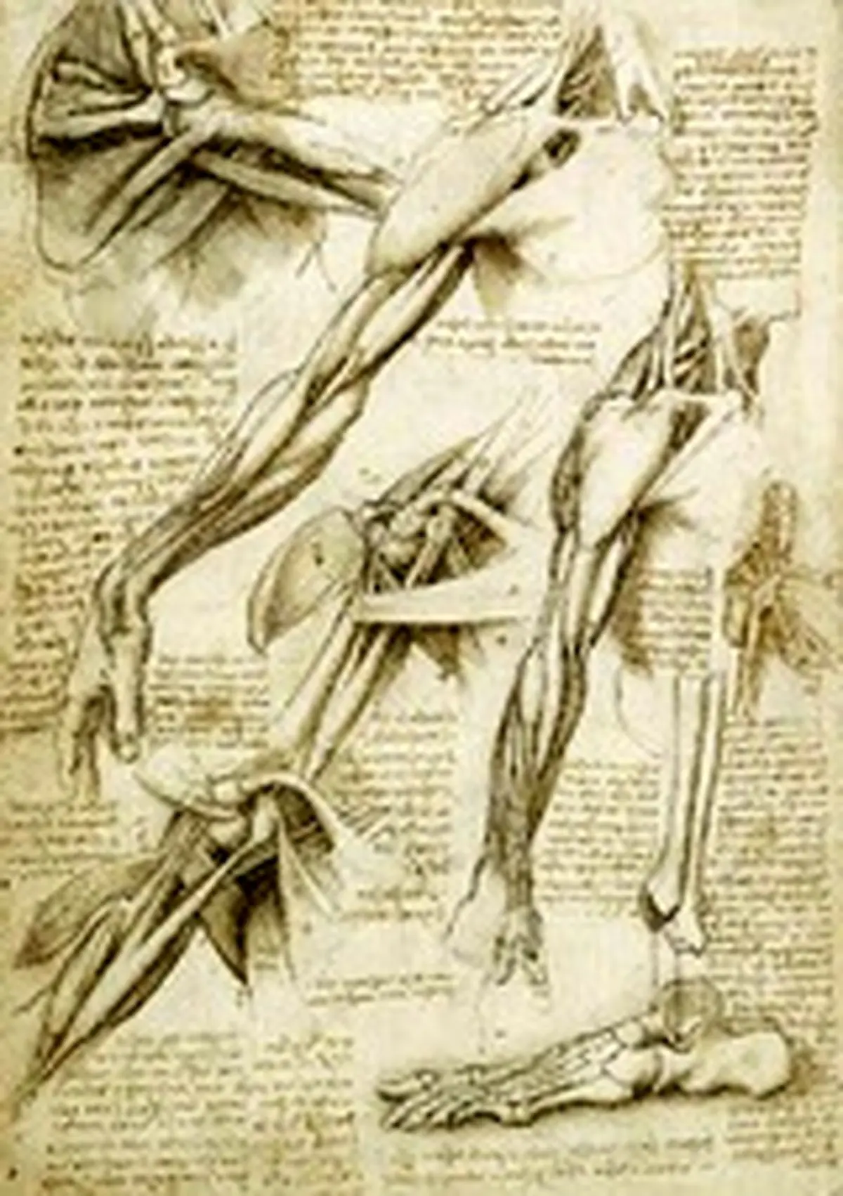 نمایشگاه تابلوهای «لئوناردو داوینچی»