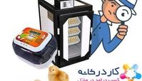 اشتغال زایی با دستگاه جوجه کشی