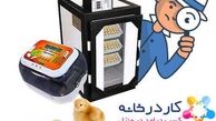 اشتغال زایی با دستگاه جوجه کشی