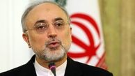 ساخت  راکتور جدید اراک مطابق با آخرین استانداردهای بین‌المللی