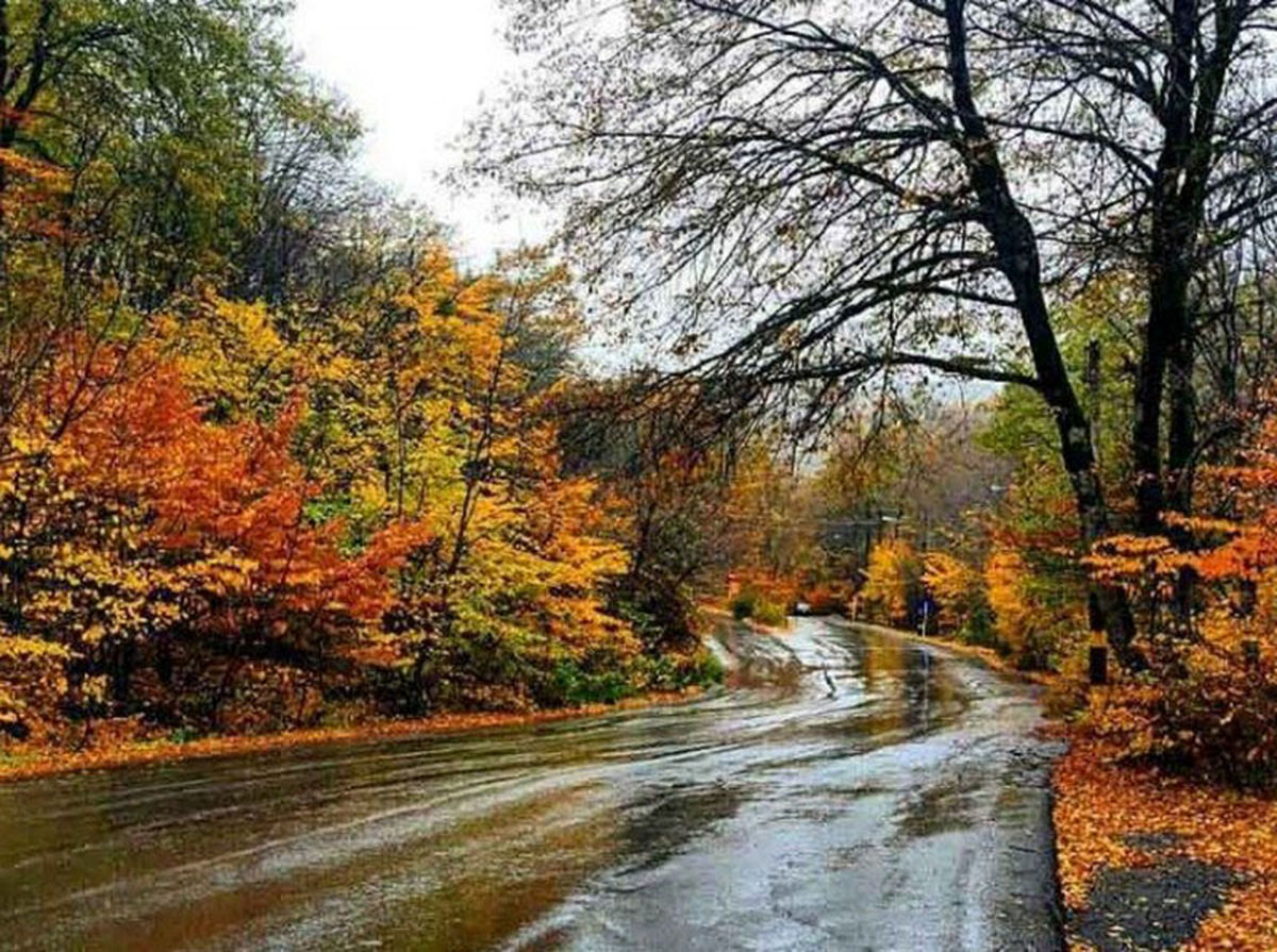 طبیعت گردی در استان همیشه سبز گلستان