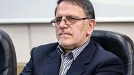 سیف: : تزریق سرمایه به برخی بنگاهها صرفا مشکلات را بیشتر کرده است