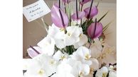هدیه پسر رضا قوچان نژاد برای خانم بازیگر+عکس