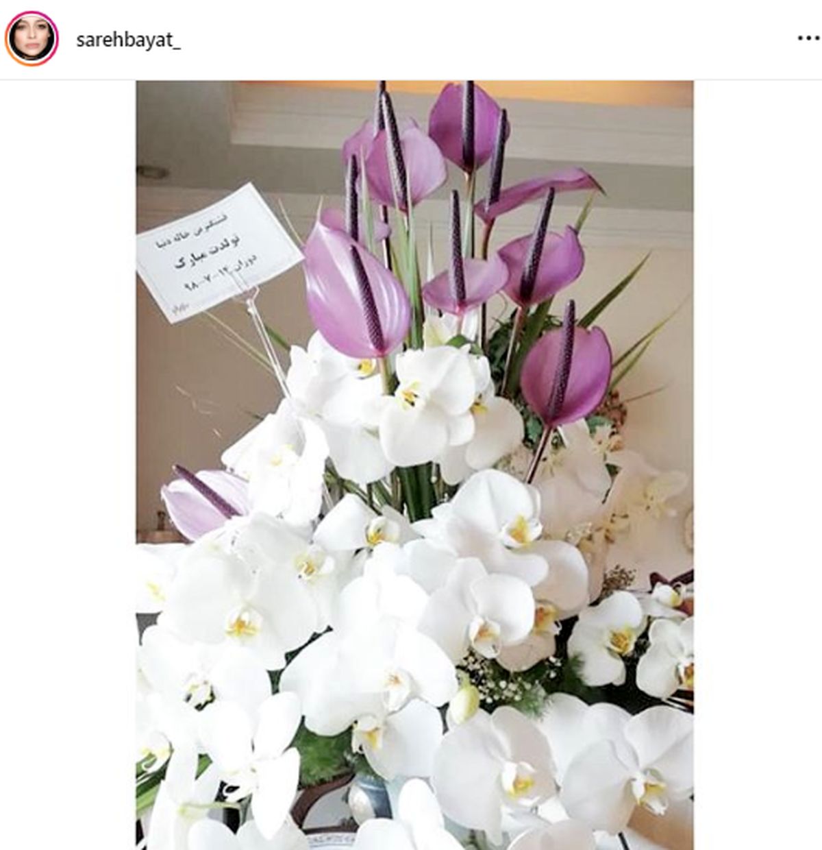 هدیه پسر رضا قوچان نژاد برای خانم بازیگر+عکس