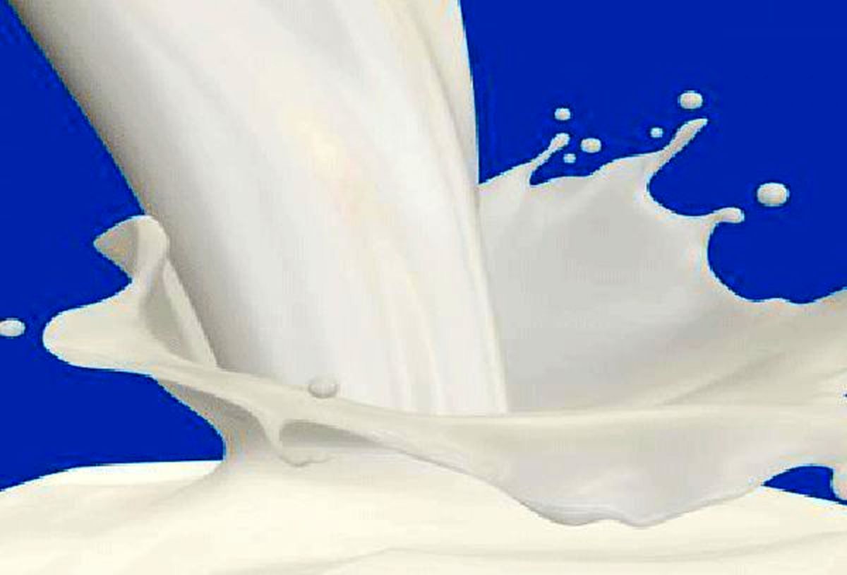 قیمت جدید شیرخام تصویب شد