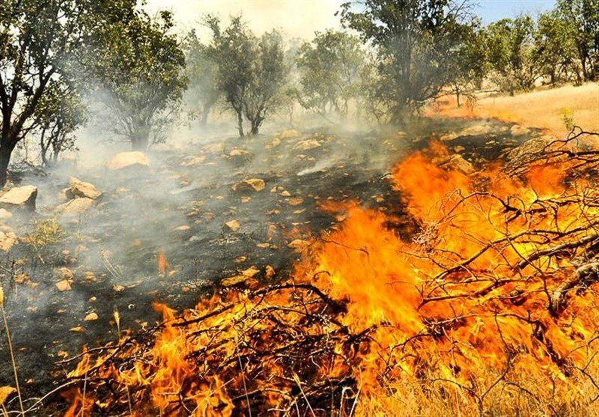آتش به جان جنگل های گیلان افتاد