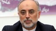 صالحی:بدعهدی انگلیس در وارد کردن ۹۰۰ تن کیک زرد به ایران
