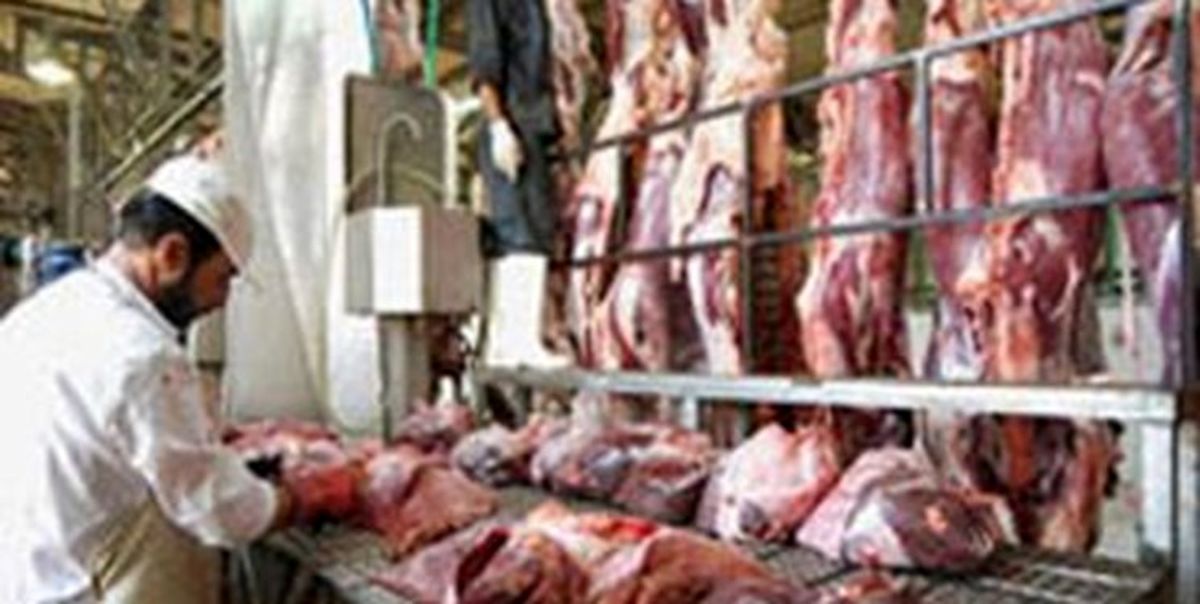 توزیع گوشت منجمد طرح تنظیم بازار در میادین شهرستان