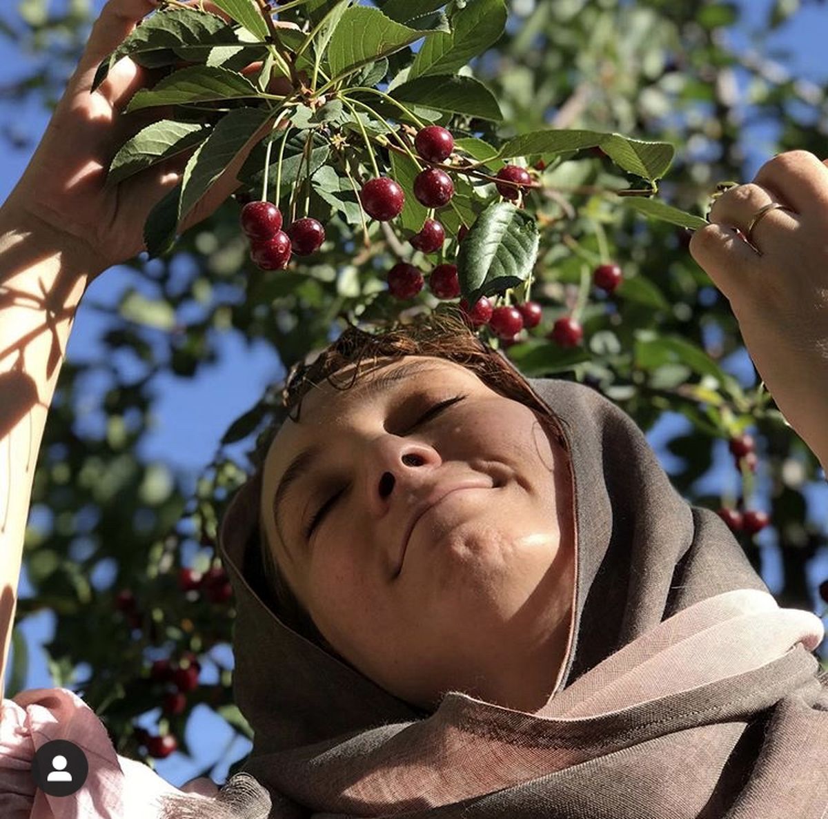 حال خوش سحر ولدبیگی زیر درخت آلبالو + عکس