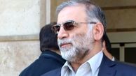شهید محسن فخری زاده: سلام بر حاج قاسم