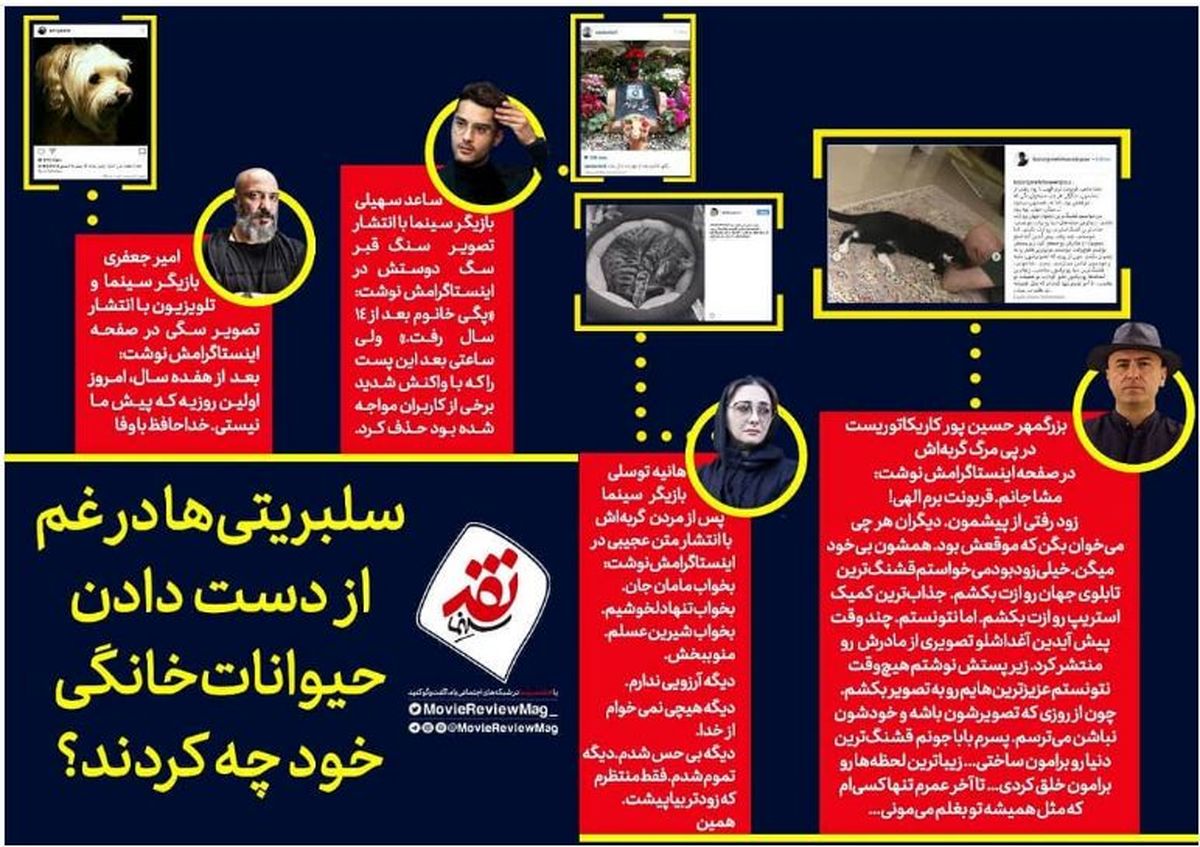 عجیب ترین واکنش سلبریتی ها, در غم حیوانات خانگی شان!