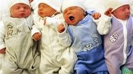 جزئیات جدید عرضه شیرخشک‌های رژیمی