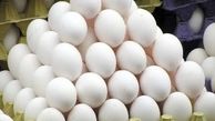 روزانه 140 تن تخم مرغ دولتی در پایتخت عرضه می‌شود