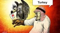 پیغام محرمانه شاه عربستان به مخالفان اردوغان/ کاريکاتور