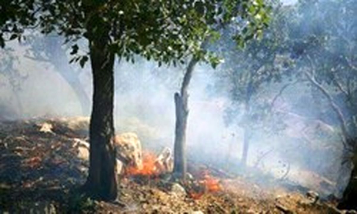 آتش‌سوزی جنگل‌های بلوط در شهرستان پل‌دختر