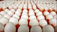 تخم‌مرغ ایران برای صادرات به قطر گران است