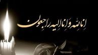 فرمانده دلاور دفاع مقدس به دیار باقی شتافت