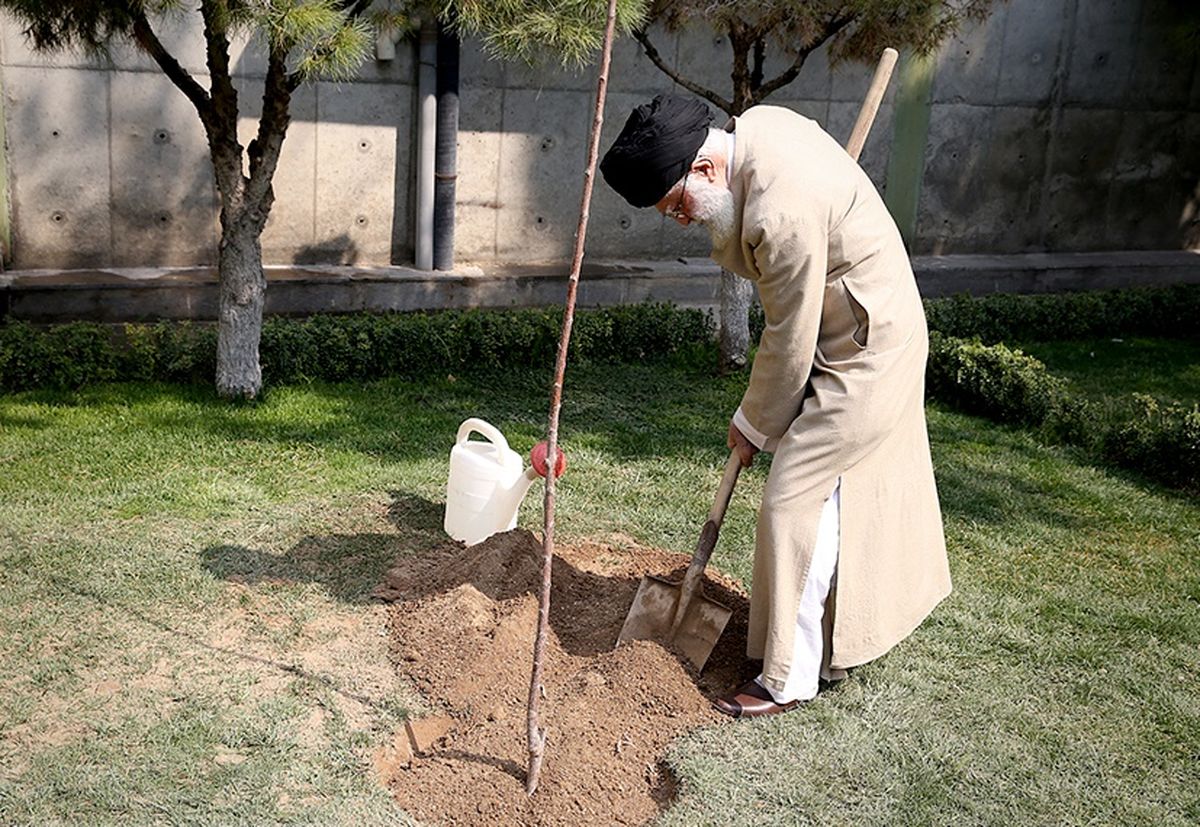 رهبر معظم انقلاب دو اصله نهال میوه کاشتند