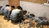 
ماموران برقی که سارق از کار درآمدند
