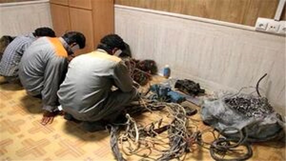 
ماموران برقی که سارق از کار درآمدند
