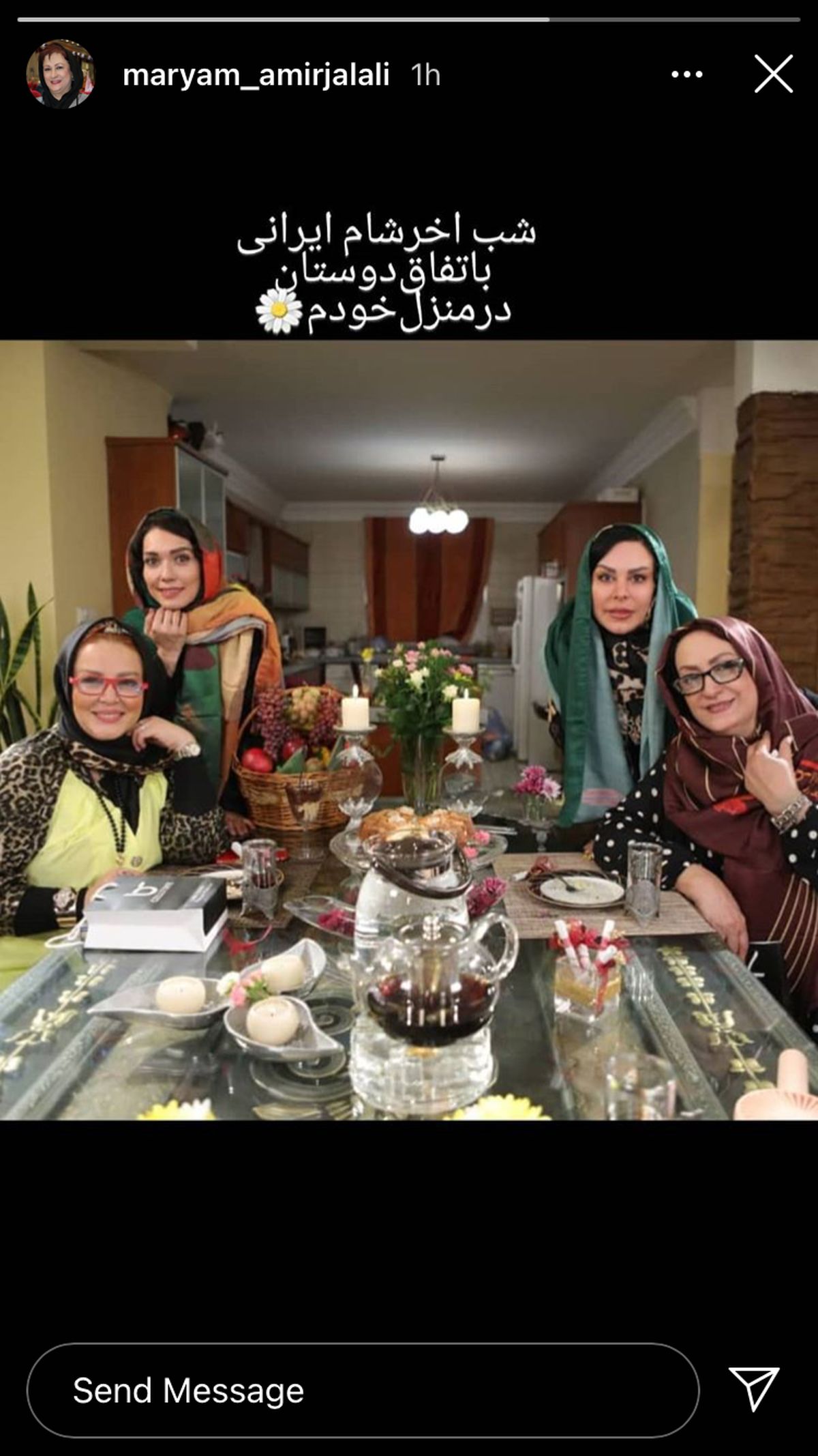 میهمانان شام ایرانی مریم امیرجلالی + عکس