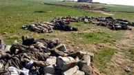  کشته شدن ۳۵ داعشی و انهدام دو انبار تسلیحاتی در عراق 