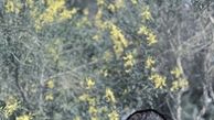 عکس جدید یکتا ناصر در فضای مجازی + عکس