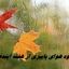 ورود هوای پاییزی از هفته آینده