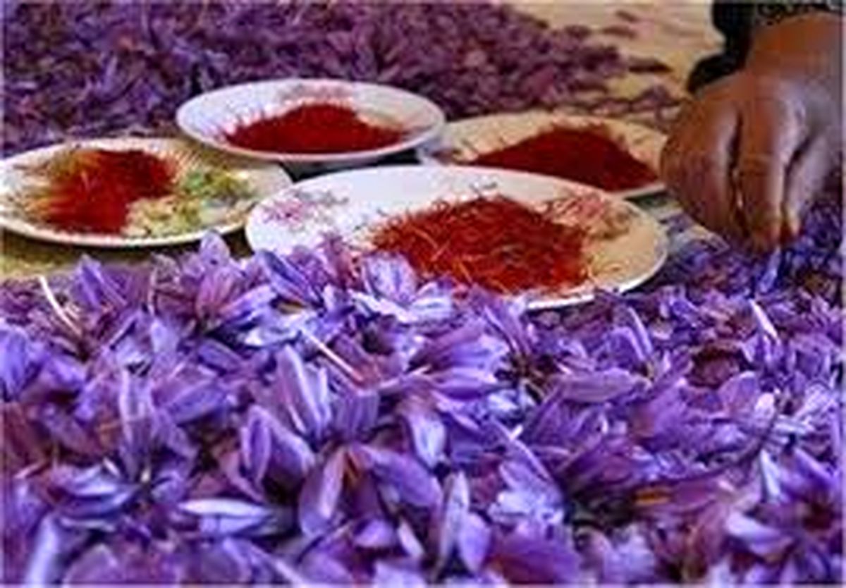  عوارض جدی زعفران که نمی دانستید