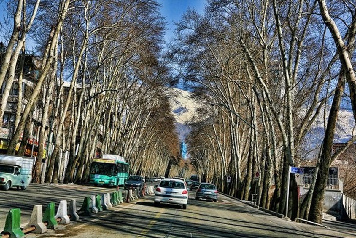هیچ پروژه‌ای بر درختان خیابان ولیعصر ارجحیت ندارد