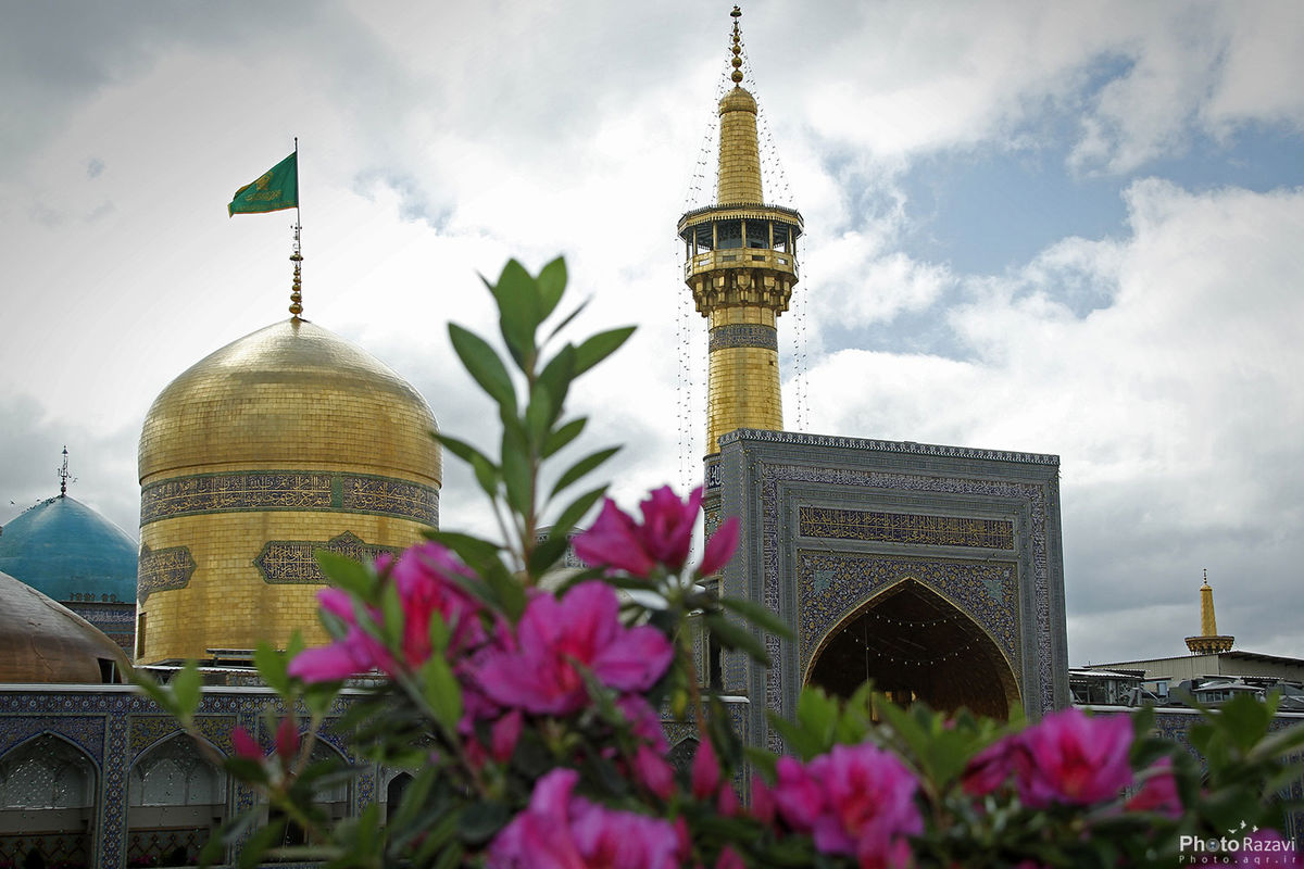 ویژگى‎های مؤمن از دیدگاه «امام رضا علیه‎السلام»