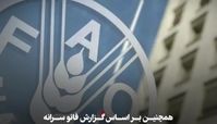 مردم ایران چقدر گوشت مصرف می‌کنند ؟