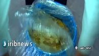  آنغوزه؛ گیاهی که کمتر از آن شنیده‌اید!