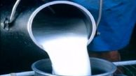 واکنش حجتی به واردات شیرخشک برای تولید شیر