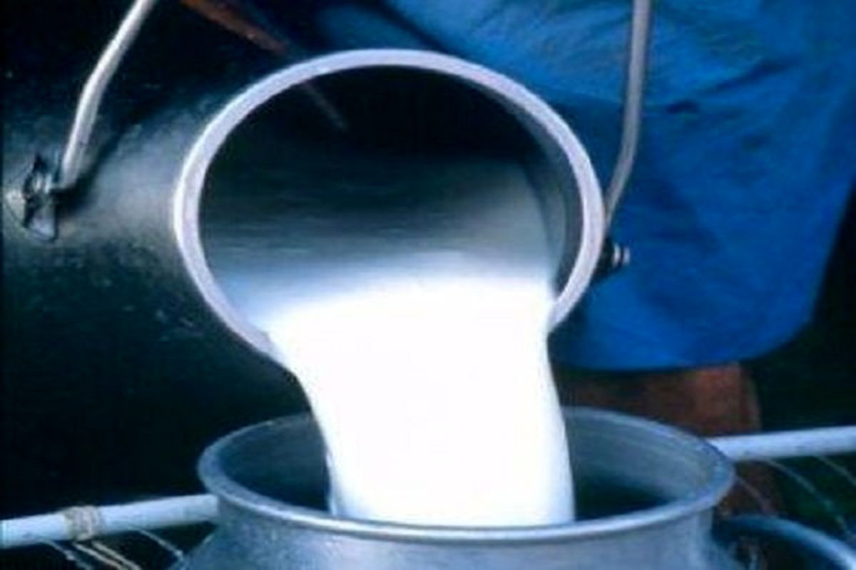 واکنش حجتی به واردات شیرخشک برای تولید شیر