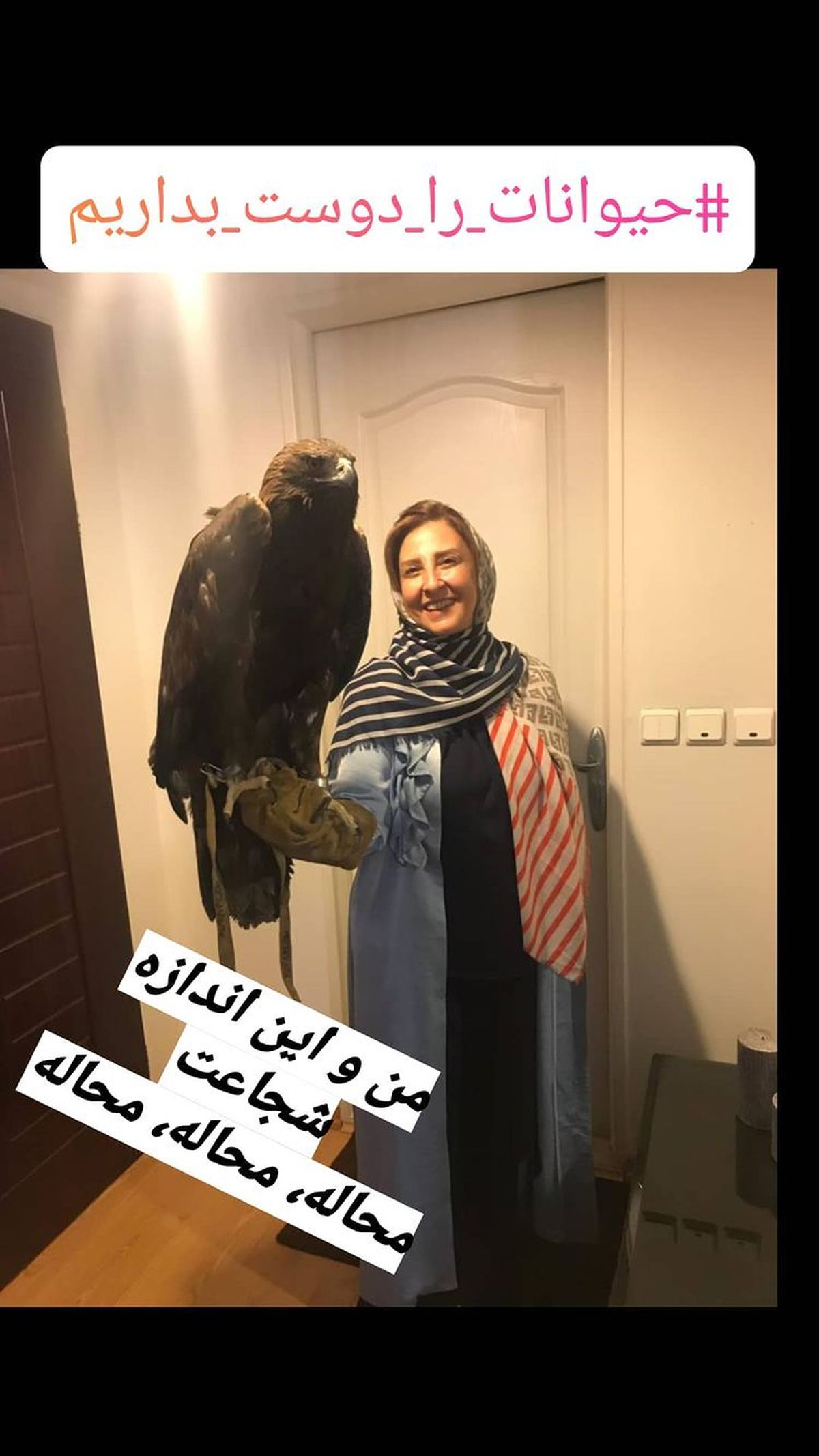 عقاب عظیم الجثه مرجانه گلچین + عکس