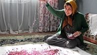 صدور پروانه نمایش خانگی برای «ماجان» و «رفقای خوب»