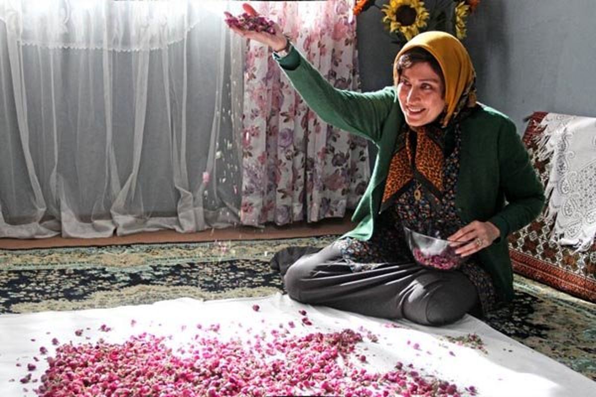 صدور پروانه نمایش خانگی برای «ماجان» و «رفقای خوب»