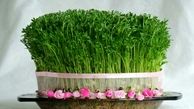 نحوه درست کردن سبزه عید