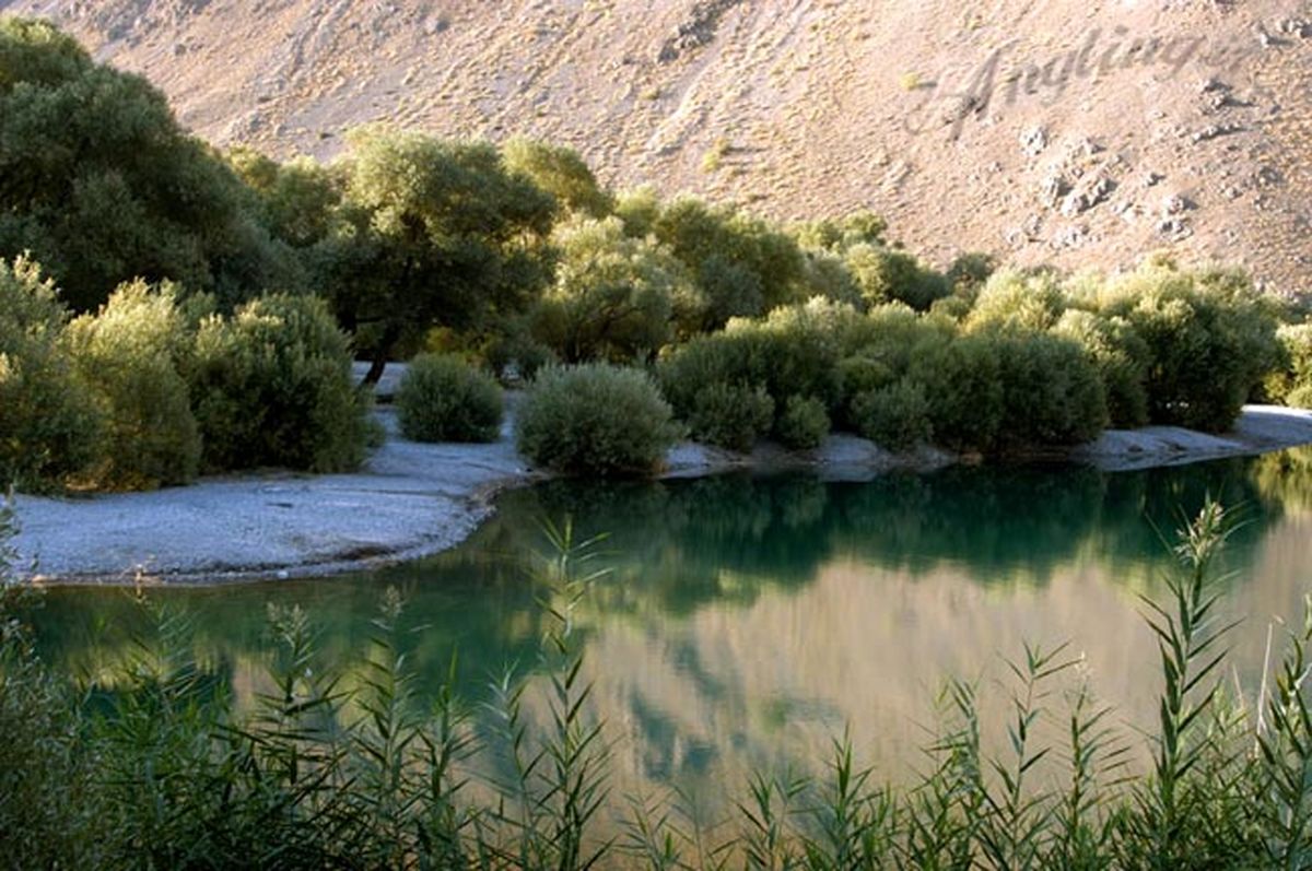 مرگ تدریجی تنها بانک ژنی زاگرس