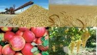 افزایش بهره‌وری و توسعه کشاورزی با مشارکت بخش خصوصی امکان پذیر است
