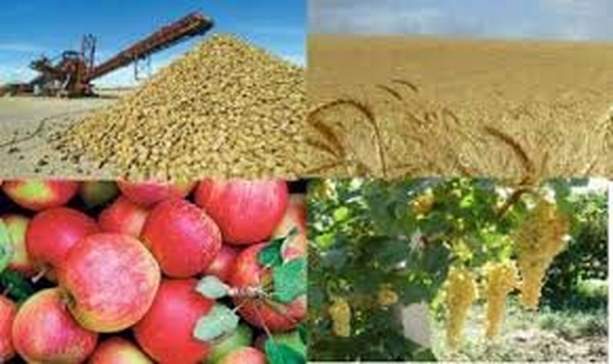 افزایش بهره‌وری و توسعه کشاورزی با مشارکت بخش خصوصی امکان پذیر است