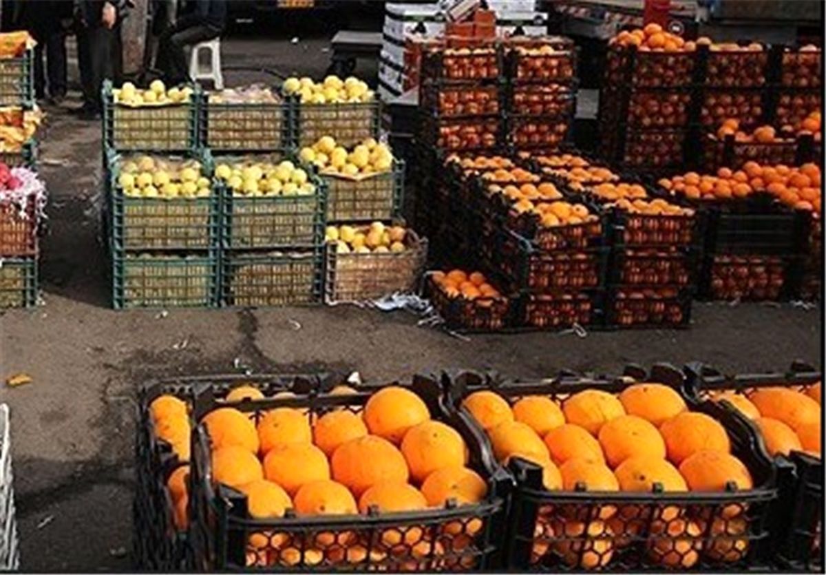 میوه‌های بدون قیمت در میدان مرکزی میوه و تره‌بار