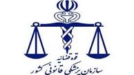 همه پیکرهای هواپیمای ATR در یاسوج تشخیص هویت می شوند