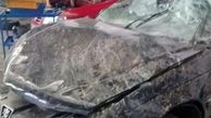تصادف برادر عضو شورای شهر تهران با ماشین بیت المال در شمال+پاسخ شورا