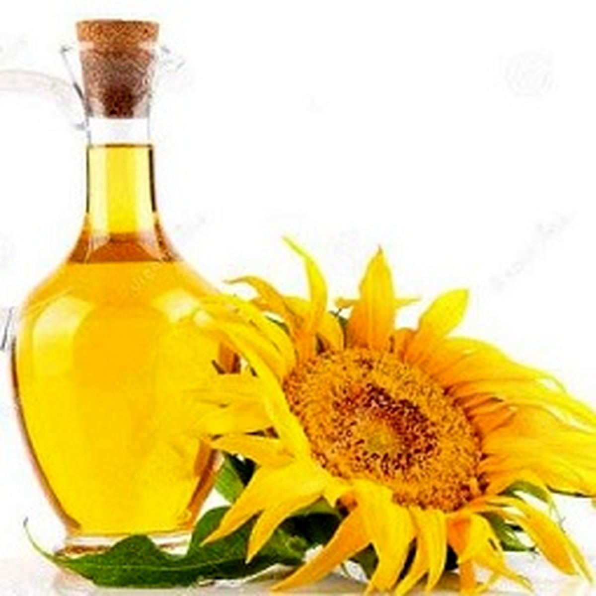 روغن مایع بدتراست یا روغن جامد؟